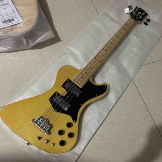 Custom 4 Strings RD Bass Guitar