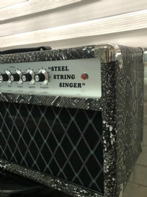 Overdrive Deluxe-Dumble Steel String Singer SSS Clone 100 Watt