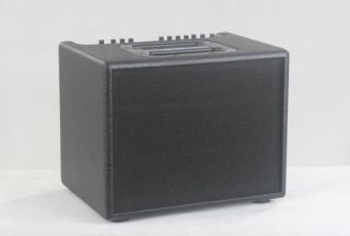 AER Compact60 Style Acoustic Guitar Amp 60W