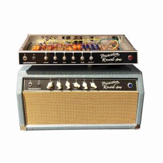 Custom Fender Style Princeton Reverb Tone Head 22W Grand Amp Speaker Cabinet Accept Amp OEM